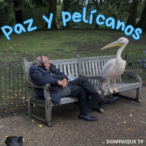 PAZ Y PELÍCANOS by Sandro Pc