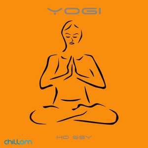 Ho ssy cover