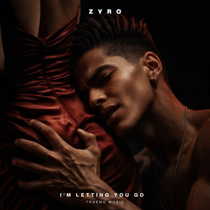I'm Letting You Go by ZYRO