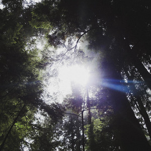 Trippin by freerue, 5aith