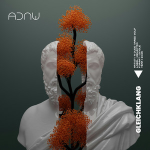 A Dude Named Wolf - Gleichklang