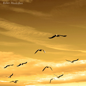 Beautiful Relaxing Instrumental Music. Romantic Music