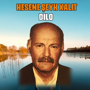 Dılo