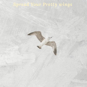 Spread your pretty wings