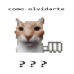 como olvidarte