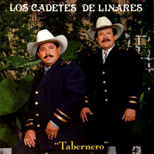 Tabernero