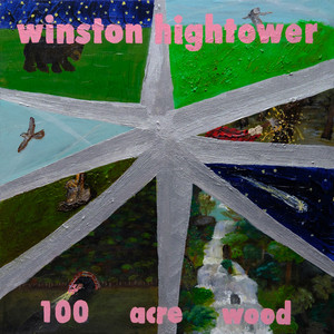 album cover: 100 Acre Wood