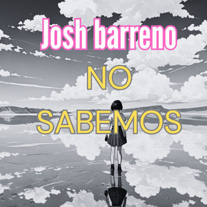 No sabemos by Josh barreno