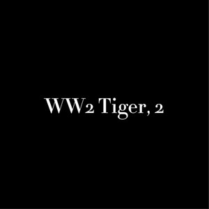 WW2 Tiger 2 by HelldiverDerDemokratie