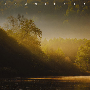 Still Stream by Somnifera