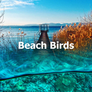 Beach Birds album
