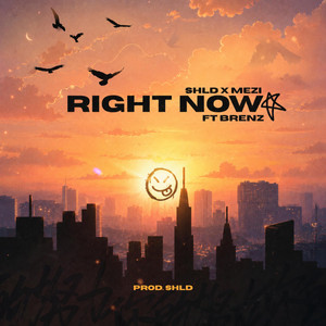 Right Now by SHLD, MEZI, Brenz