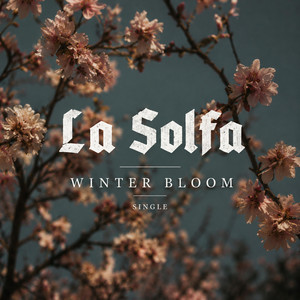 Winter bloom by la solfa