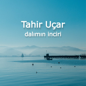 Tahir Uçar - Dalımın İnciri