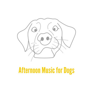 Afternoon Music for Dogs album