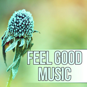 Feel Good Music – Instrumental Pieces, Time to Relax, Natural Stress Relief, Sensual Massage for Women album