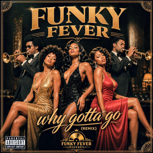 why you gotta go (remix) by FUNKY FEVER