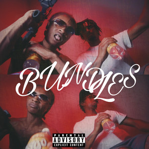 Bundles cover