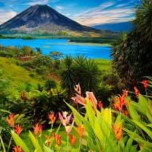 Nuestro Amor Es Bonito by Arianna Gigante