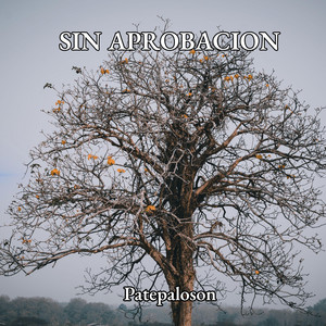 SIN APROBACION by Patepaloson