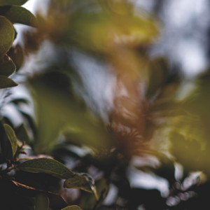 Farewell by Wreath
