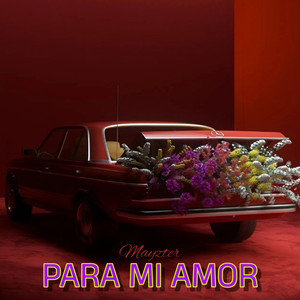 Para Mi Amor by Mayzter