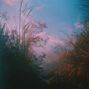 Soft Tides by Winters Dawn