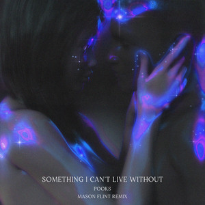 Something I Can't Live Without - Mason Flint Remix by Pooks, Mason Flint