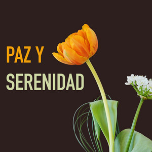 Paz y Serenidad - Encontrar la Felicidad con Música Relajante y Sonidos de la Naturaleza para Sanar el Alma album