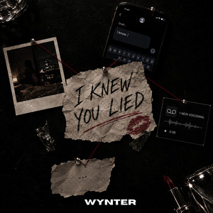 I Knew You Lied by Wynter