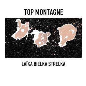 top montagne - laïka bielka strelka