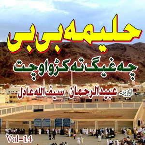 Ubaid Ur Rehman - Haleeme Bini Che Gheg Ta Kro Ochat, Vol. 14