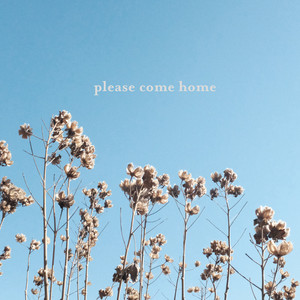 please come home poster