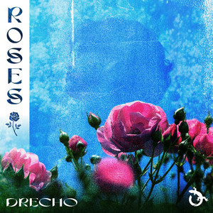 Roses by DRECHO