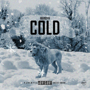 Portada de Cold