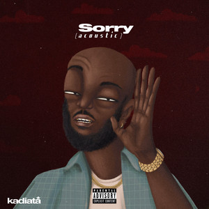 Portada de Sorry