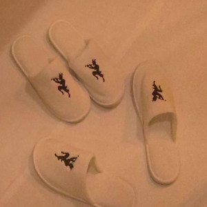 fakemink - Spend Money Lie