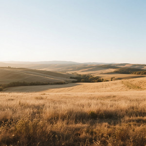 Campo de Montiel by Darken Vossx