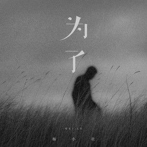 杨小壮 - 为了 (DJAs版伴奏)