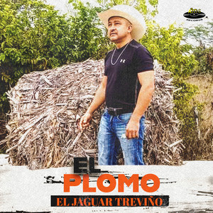El Plomo