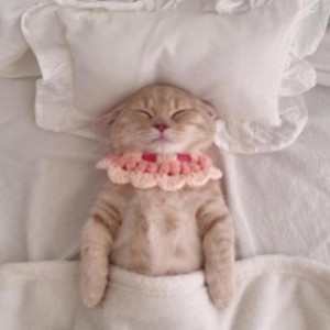 Fallin In L0ve With the Drugs