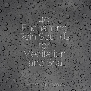 40 Enchanting Rain Sounds for Meditation and Spa album