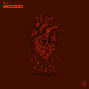 Stole My Heart by ToMix