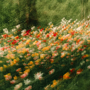 Nguyễn Duy Thuận - Before spring ends (Piano ver.)