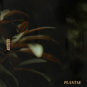 Plantae by Asteeõs