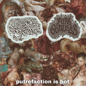 Fupa Goddess - dailymasturbationwithsnuffmovies (feat. Histiocitosis)
