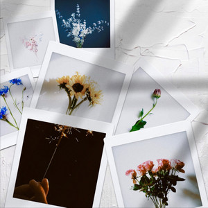 RIRIKO - Flower Pictorial Book