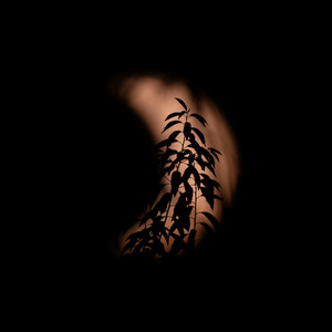 Improvisation in C# minor: Last Night I was searching for the Moon by James Malikey