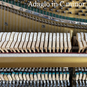 Adagio in C minor by Krzysztof Kolator