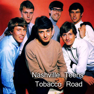 I'm Coming Home - song and lyrics by The Nashville Teens